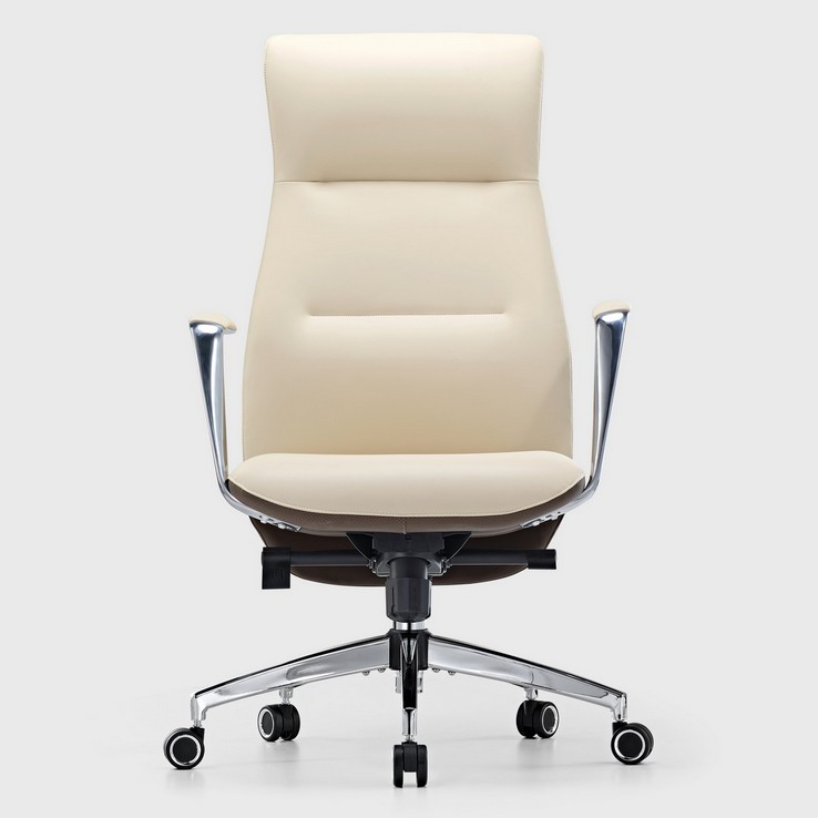 Эргономичное кресло руководителя Eureka OC08-OW, белое